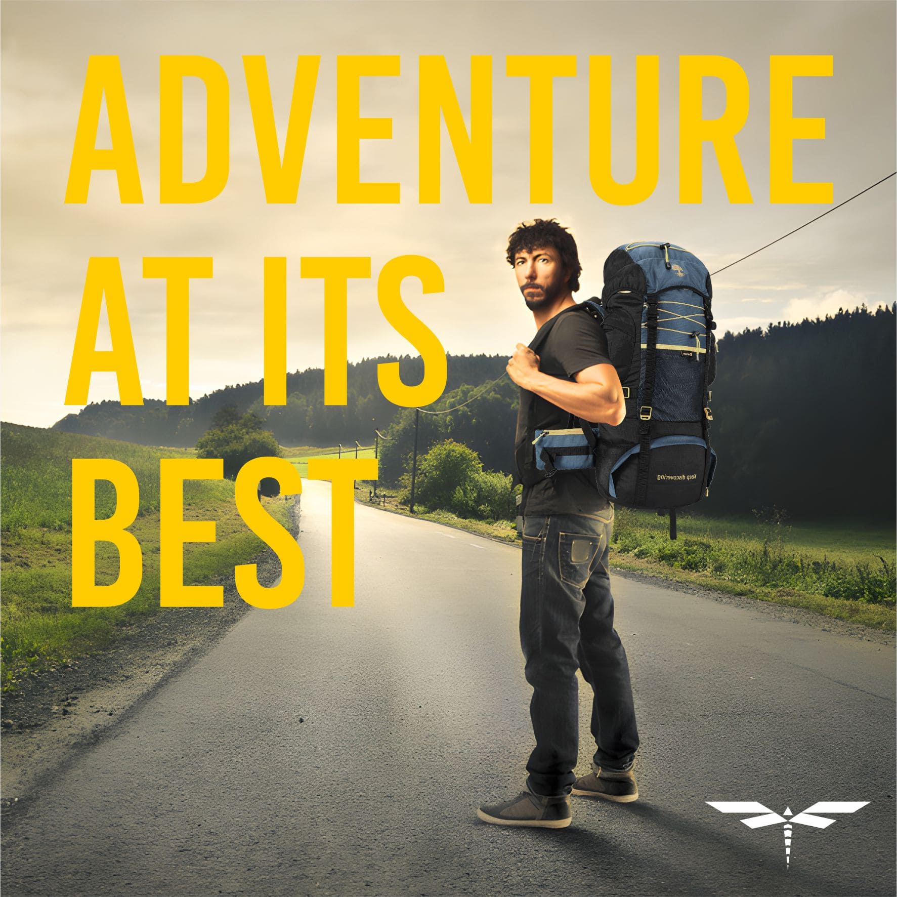 listing final COREL 17 curves 3